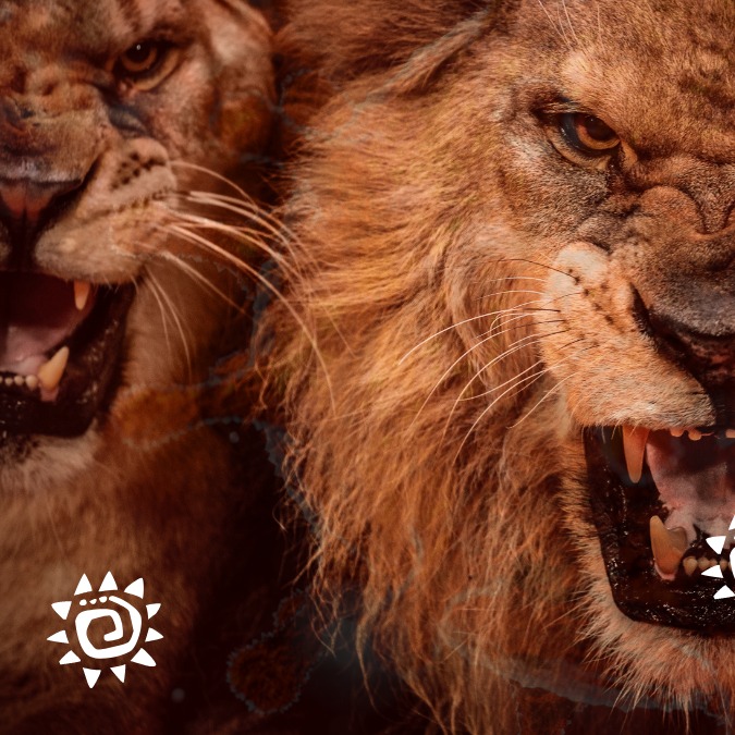 Coronavirus: The Lion is attacking the village